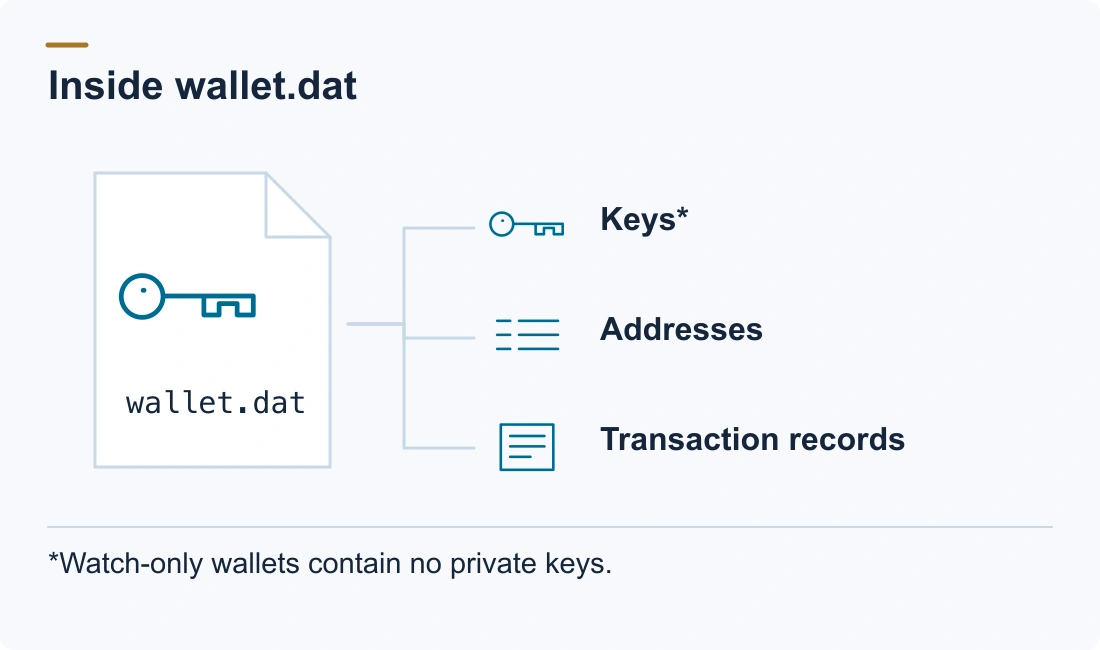 Inside wallet.dat: Keys*; Addresses; Transaction records. *Watch-only wallets contain no private keys.