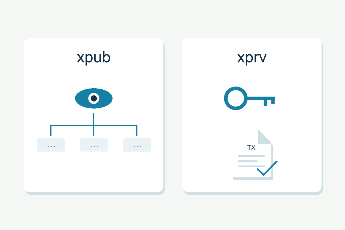 Separate xpub and xprv panels: an eye with address branches for viewing, and a private-key symbol with a signed transaction
